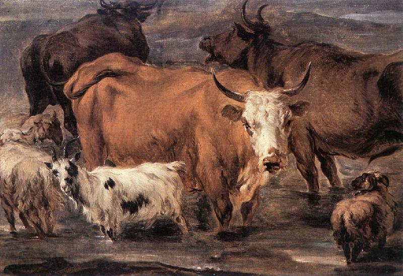 BERCHEM, Nicolaes Animal Study dd France oil painting art